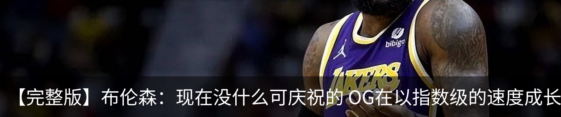 新闻动态