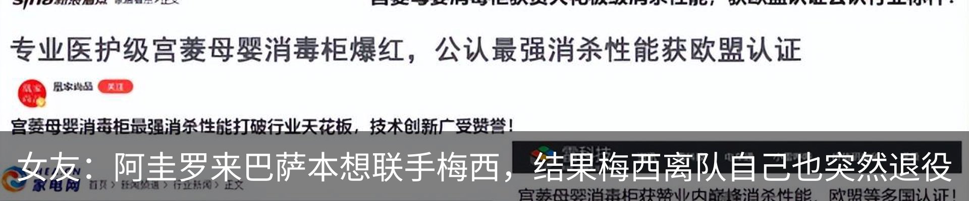 新闻动态