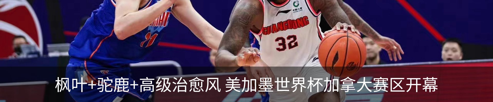 新闻动态